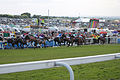 049 Epsom Derby 2015 - The field going for home (17967270404).jpg