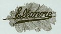 "Eléonore".jpg