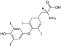 (S)-Thyroxine Structural Formulae.png