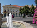 Fountain with Grapes and Town Hall. Listed -1628. - Fő Sq., Gyöngyös,Hungary.JPG