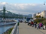 Avalon Panorama (ship, 2011) and Liberty Bridge. - Budapest, 2015.10.22.jpg