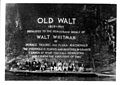 Walt Whitman Inscription on Mazinaw Rock - Bon Echo (21173474953).jpg